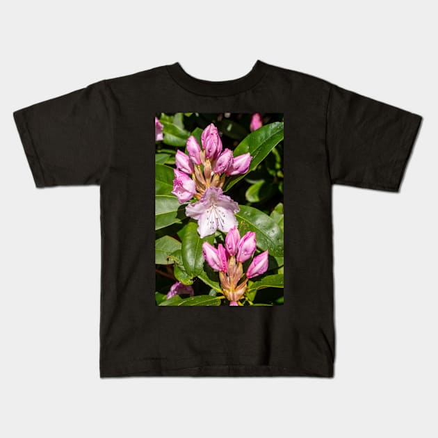 Rhododendron buds. Kids T-Shirt by sma1050